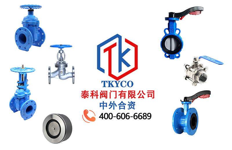 1691377864.jpg tktyco新聞圖.jpg